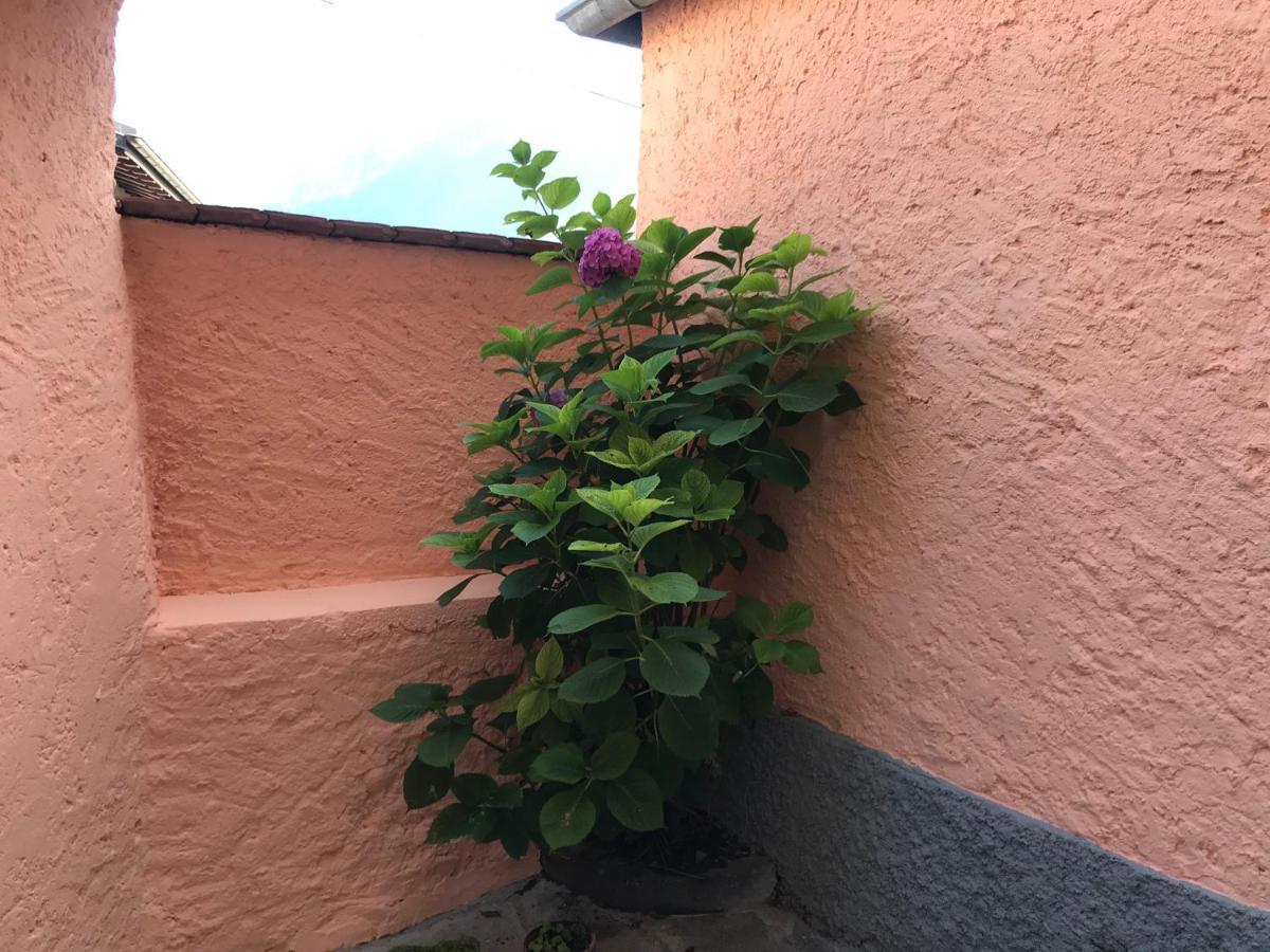 Casa Carlazzo Villa Dış mekan fotoğraf